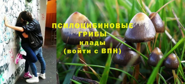 гидра Куйбышев