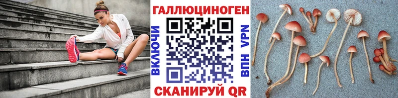 Галлюциногенные грибы Cubensis  МЕГА как зайти  площадка клад  Энгельс 