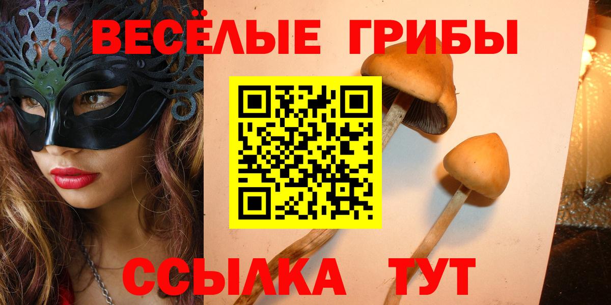 Галлюциногенные грибы GOLDEN TEACHER Энгельс