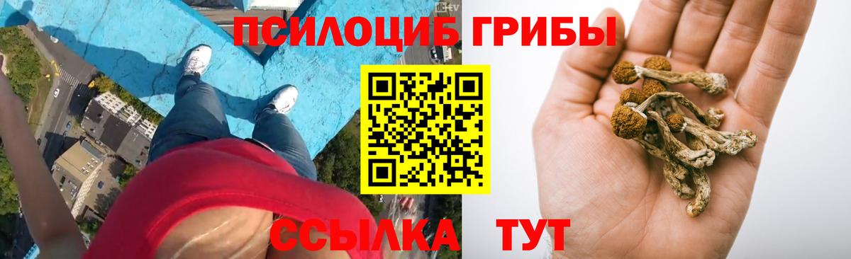 Галлюциногенные грибы ЛСД  Энгельс 